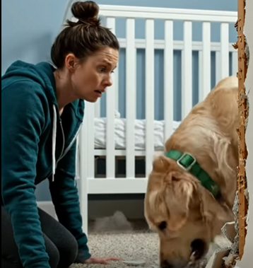 My Baby’s “Asthma” Was Getting Worse Until Our Dog Tore Open the Wall and Revealed What Was Really Behind It…
